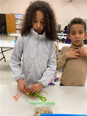 Making a bird feeder