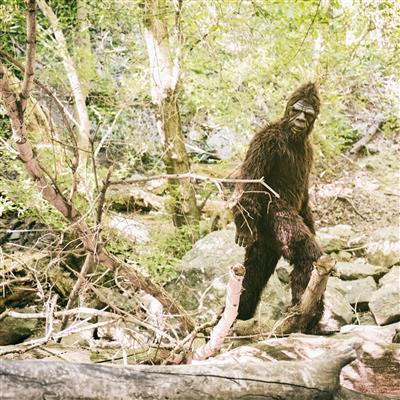 Big Foot