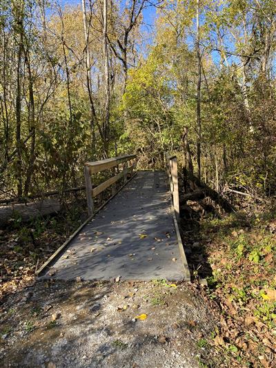 Garland Reserve Boardwalk