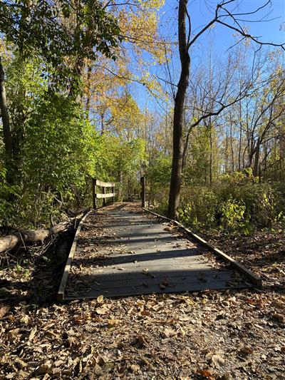 Garland Reserve Boardwalk