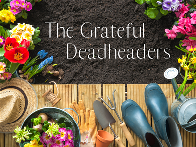 The Grateful Deadheaders