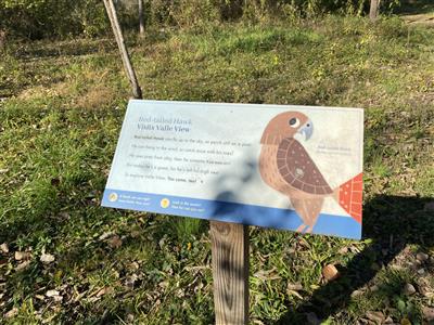 Valle View Reserve Hawk