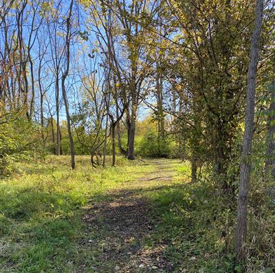 Valle View Reserve Trail