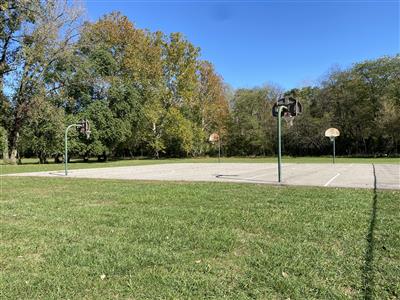 Wedgewood Park Basketball