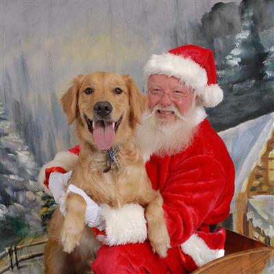 Santa Paws